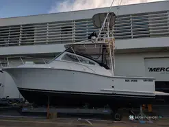 Luhrs  30 Open