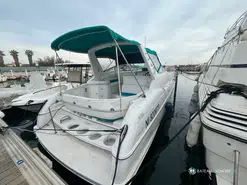 Chris Craft Crowne 302