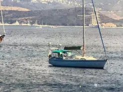 Gibert Marine Gib Sea 442