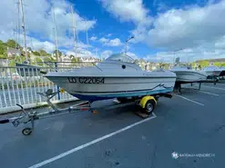 B2 Marine Cap Ferret 502 Cabin Cruiser Swing