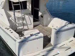 Riviera  3350 Convertible 