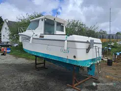 Ocqueteau Cordouan 625