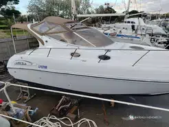 Salpa Laver 31.5