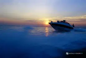 Cranchi Endurance 33