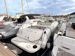 Sea Ray Amberjack 290