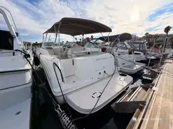 Sea Ray Amberjack 290