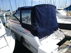 Sea Ray  230
