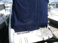 Sea Ray  230