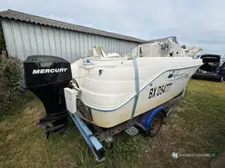 Quicksilver  520 Flamingo