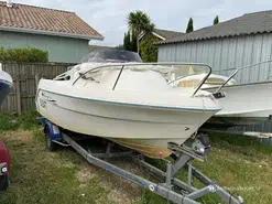 Quicksilver  520 Flamingo