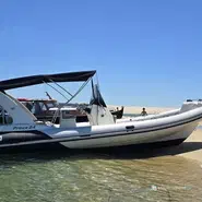 Nuova Jolly Prince 24