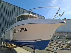 Balt Arvor 190