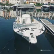 Kelt White Shark 225