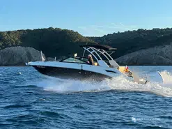Sea Ray  250