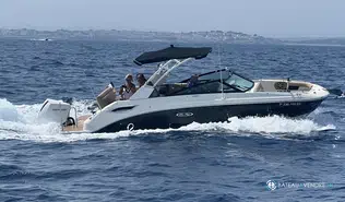 Sea Ray  250