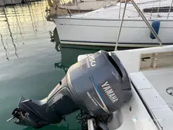 White Shark  225