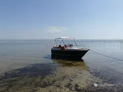 B2 Marine CAP FERRET 522 OPEN
