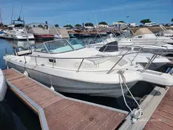 Kelt White Shark 236