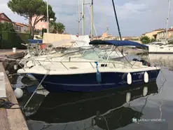 White Shark  268