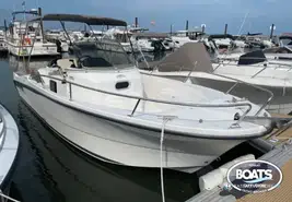 Ocqueteau Abacco 800