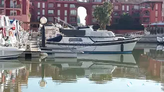 Aquila  Queen 33