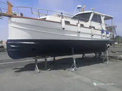 Menorquin  55