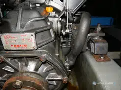Menorquin  55