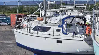 Wrighton Biloup 36