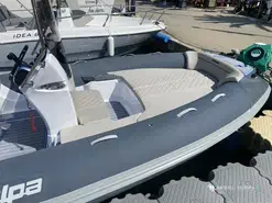Salpa Soleil 18