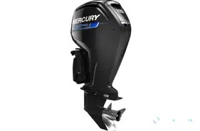 Mercury 115 CV SEAPRO (quasi neuf, moins de 100 h)
