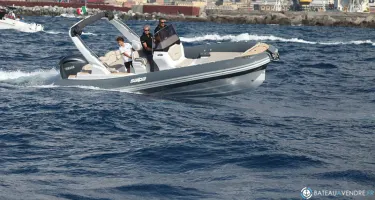 Salpa Soleil 26