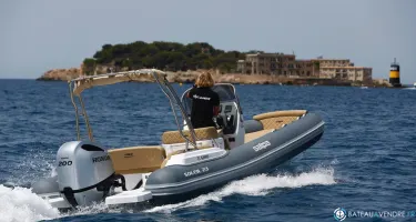 Salpa Soleil 23