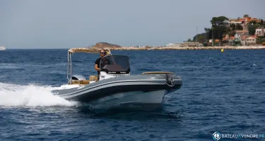 Salpa Soleil 23