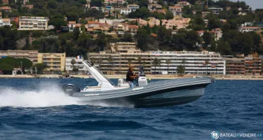 Salpa Soleil 26
