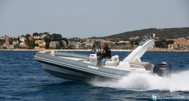Salpa Soleil 26