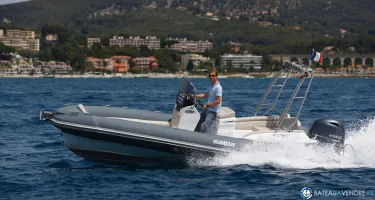 Salpa Soleil 20