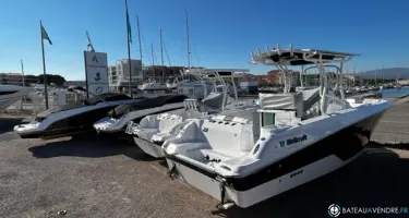 Wellcraft Fisherman 262