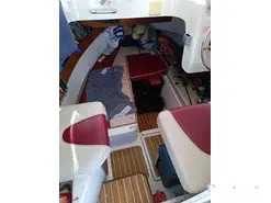 Arvor  230