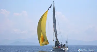 Wauquiez Centurion 49