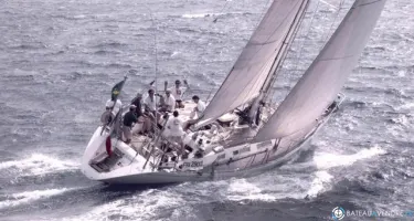 Wauquiez Centurion 49