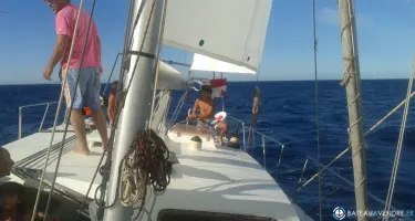 Alize Marine Sloop Trans Oceanique