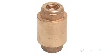 Clapet anti-retour