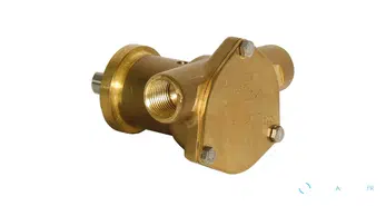 POMPE BRZ FLG 010 BSP