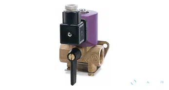 Vanne à boisseau sphérique électrique Quick EL1013