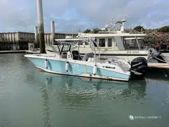 Wellcraft Fisherman 302