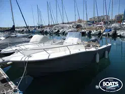 White Shark  226