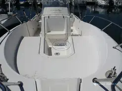 White Shark  226