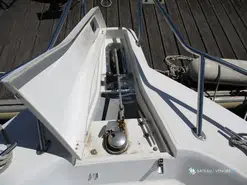 White Shark  226