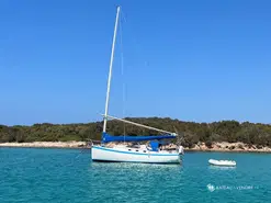 Hinterhoeller Nonsuch 30 Ultra