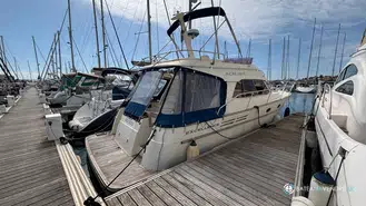 ACM Excellence 38